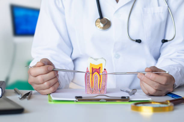 Best Emergency Dental Extractions in Canutillo, TX